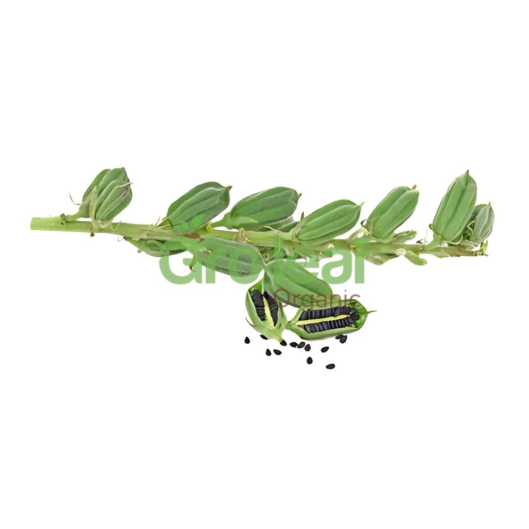 Black Sesame Seeds - Image 1