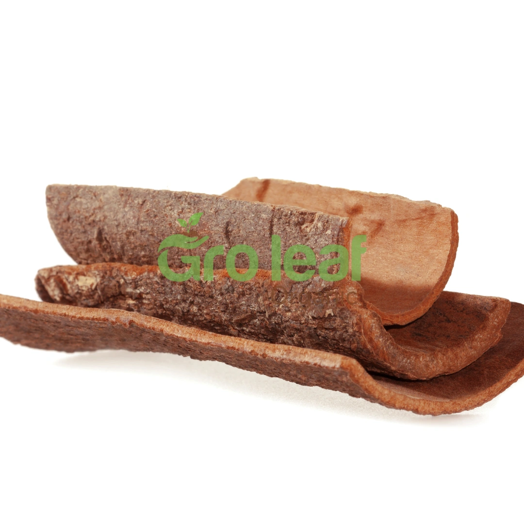 Cinnamon - Image 1