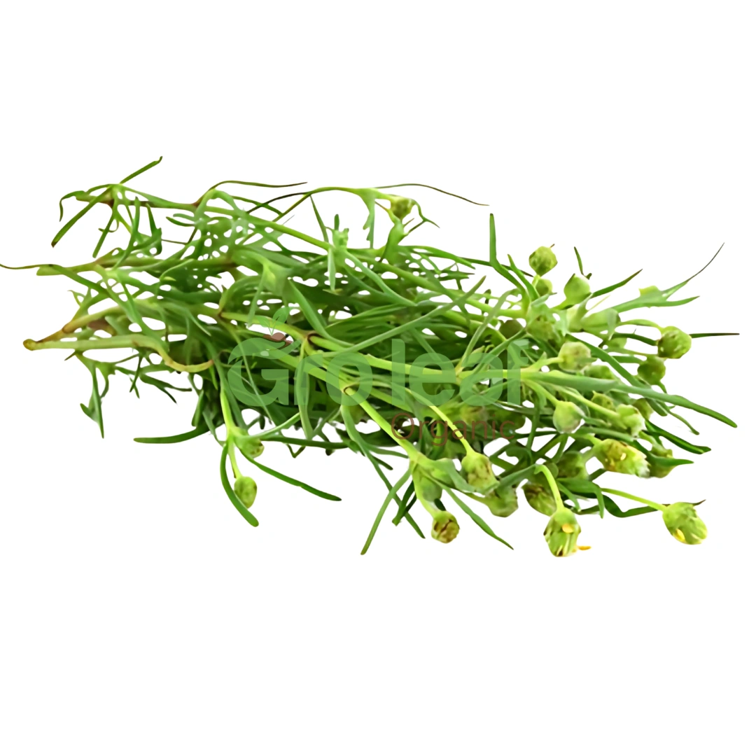Psyllium Husk - Image 1